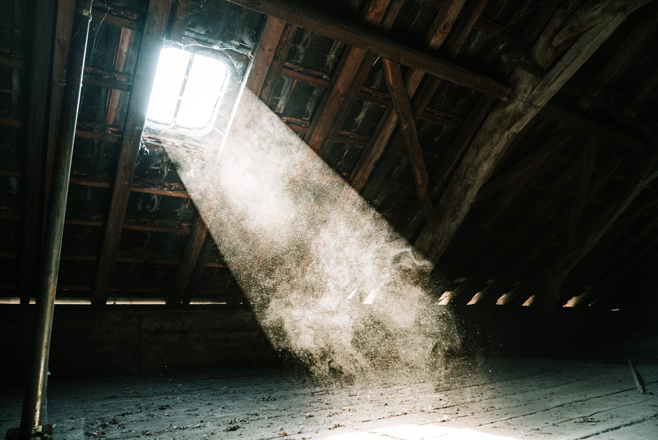 Best Ways To Deal With Mold In Your Attic