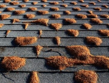 how long do florida shingle roofs last
