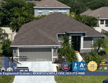 Shingle Roof Replacement Tampa Bay Free Estimate