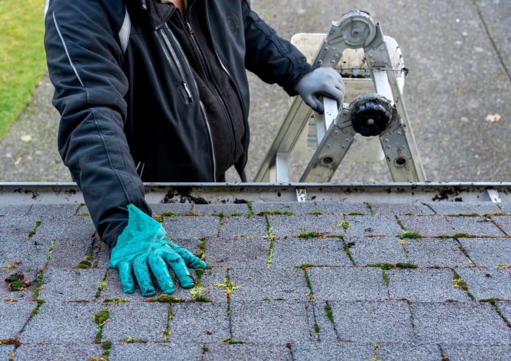 clean asphalt shingle roof