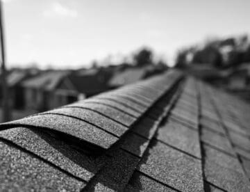 asphalt shingle roof