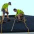 installing a new roof
